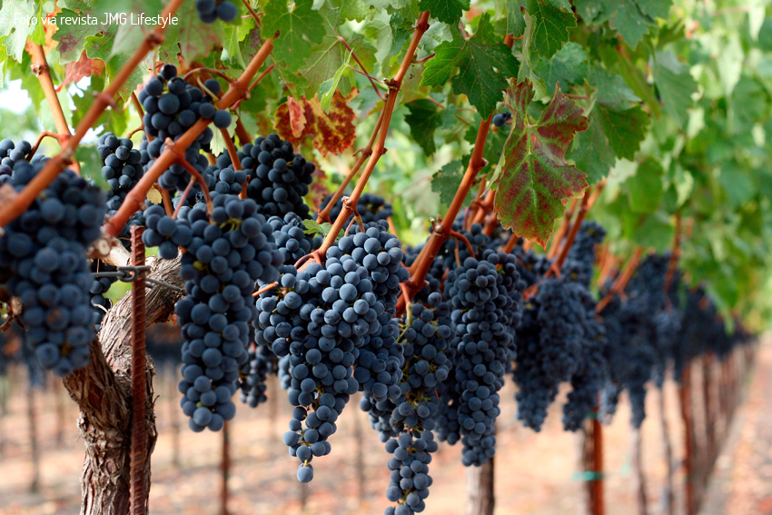 Napa