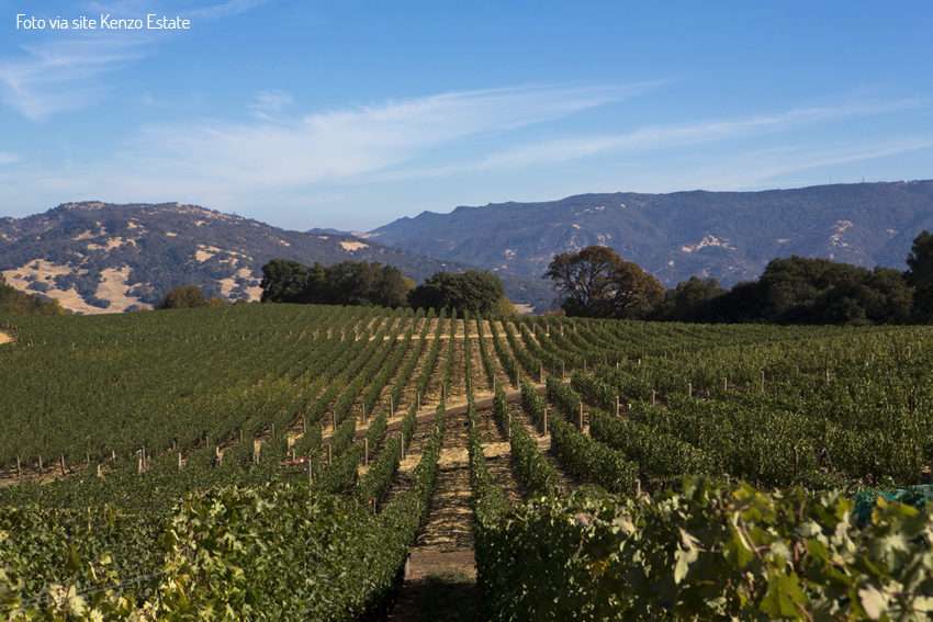 Napa