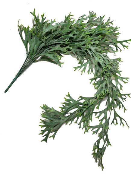 B197-Chifre de Veado