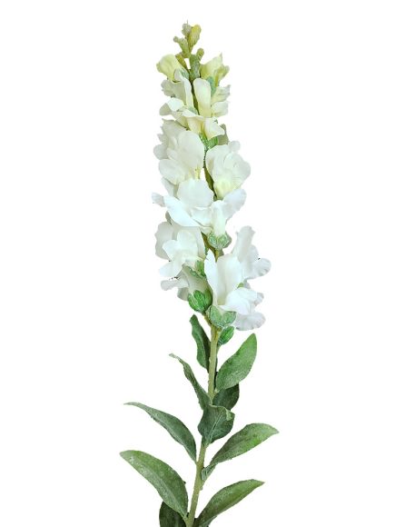 DA-30-028 - Boca de Leão