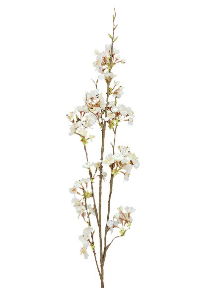 DA-34-011- Cerejeira branca