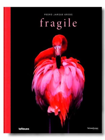 Fragile - Image 1