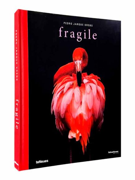 Fragile - Image 2