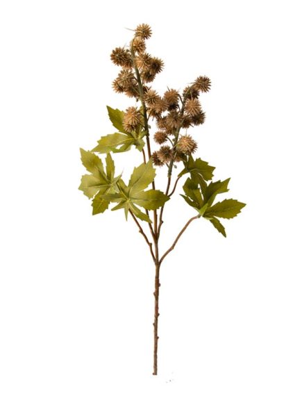 Mamona Haste com Folhas Sortidos - Imagem 3