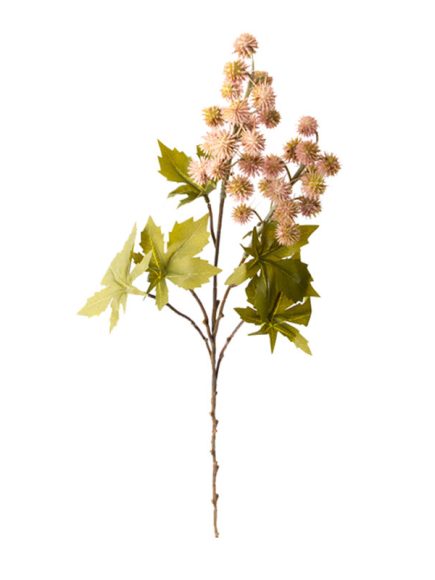 Mamona Haste com Folhas Sortidos - Imagem 1