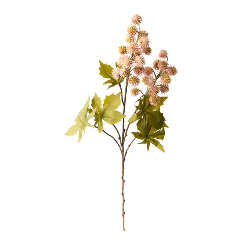 Mamona Haste com Folhas Sortidos