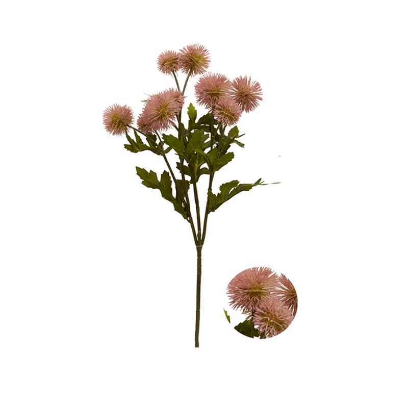 Mamona Haste Sortidos