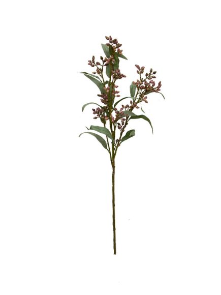 Sementes de Eucalipto Haste Sortidos - Image 3