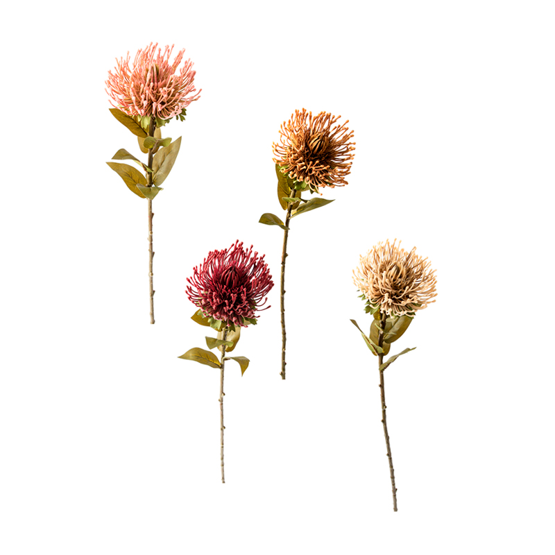 Protea Haste Sortidos