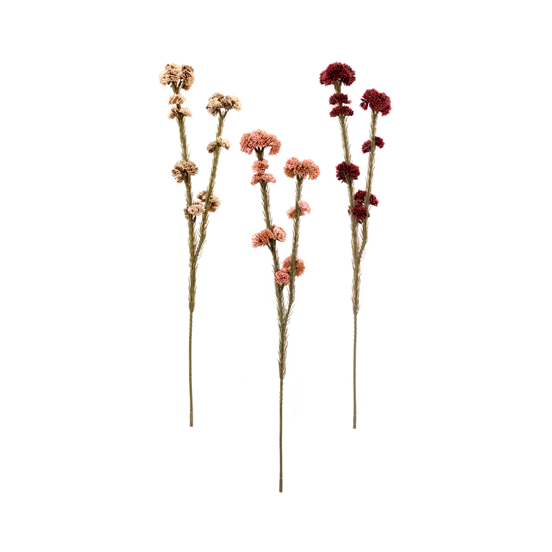 Sedum Haste Sortidos