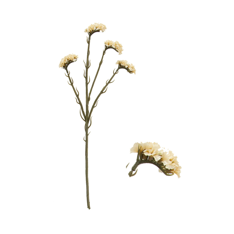 Estatice Creme Haste