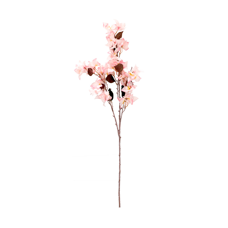 Bougainveillea Rosa Claro Haste
