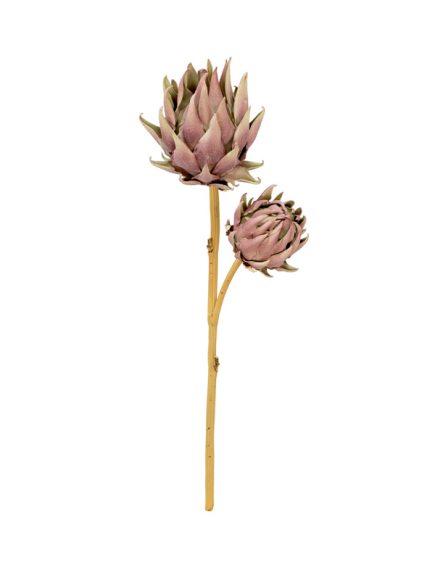 Protea Outonada Haste Sortidos - Image 2