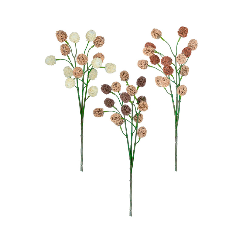 Perpétua Outonada Haste Sortidos