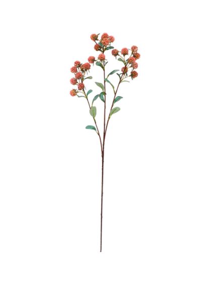 Berry Haste Sortidos - Image 4