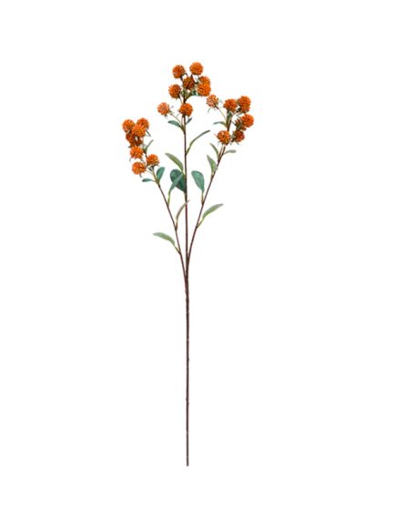 Berry Haste Sortidos - Image 1