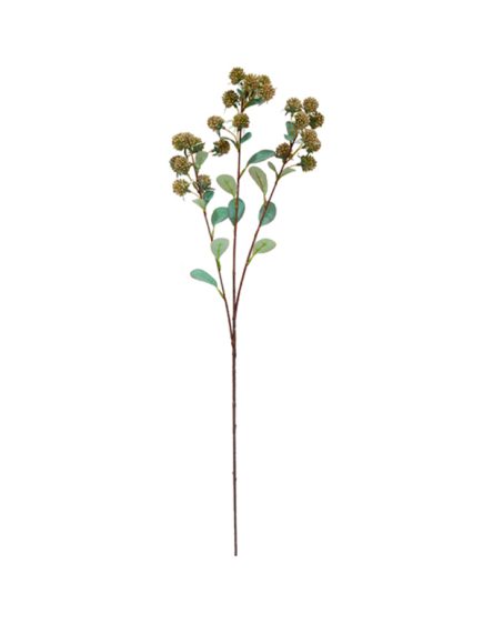 Berry Haste Sortidos - Image 3