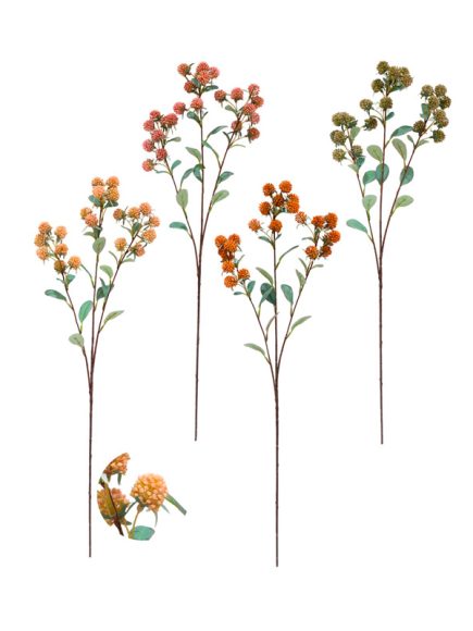 Berry Haste Sortidos - Image 5