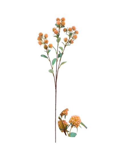 Berry Haste Sortidos - Image 2