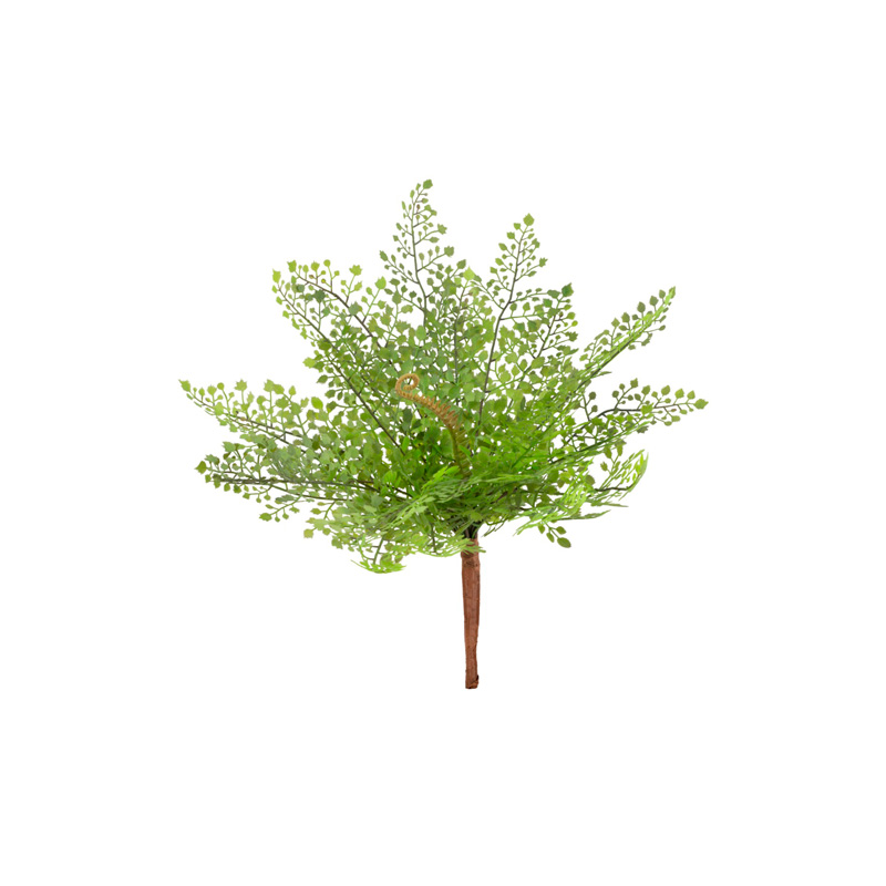 Avenca Folhagem Toque Real