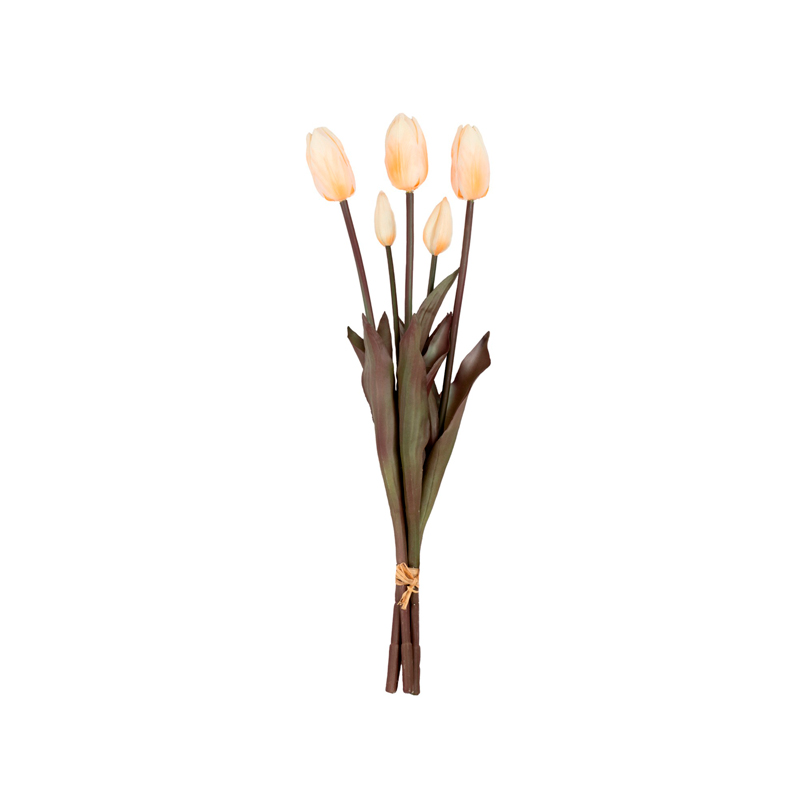 Tulipa Creme Ramalhete