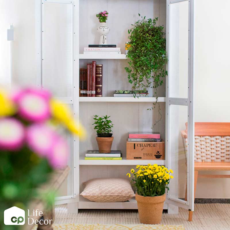 Plantas nas prateleiras