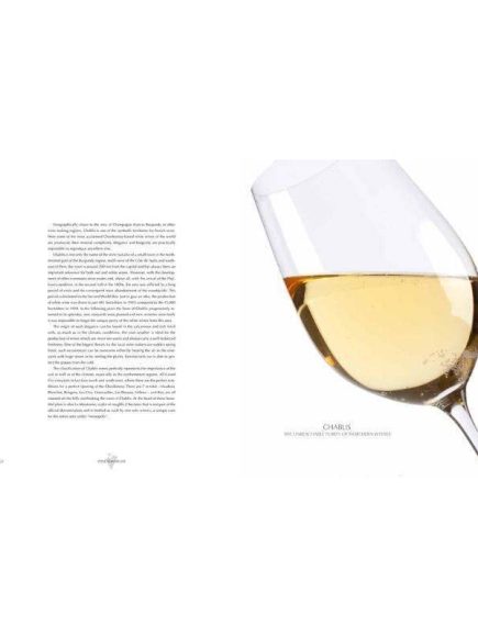 Livro Wine Sommelier - Image 4