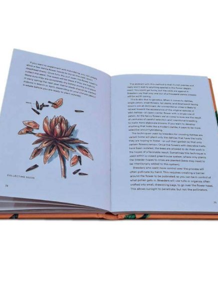 Livro Dahlias: A Little Book of Flowers - Imagem 6