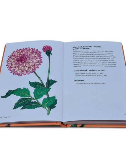 Livro Dahlias: A Little Book of Flowers - Imagem 5