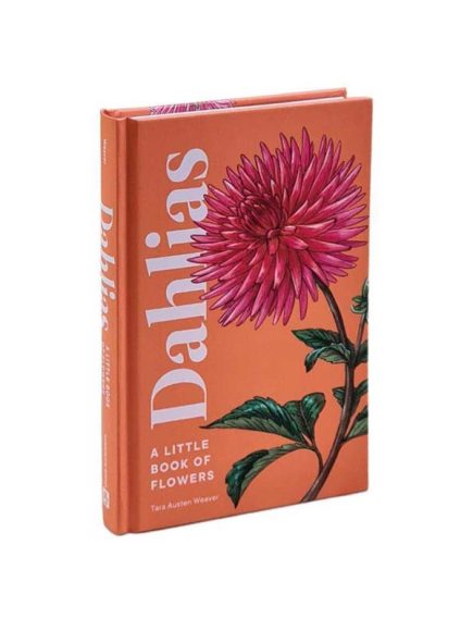 Livro Dahlias: A Little Book of Flowers - Imagem 2