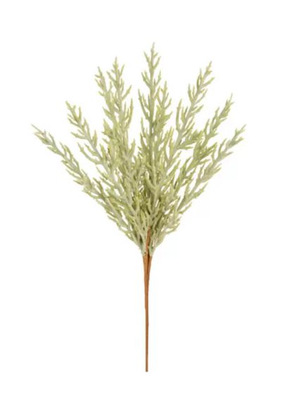 Rhipsalis Verde Buquê