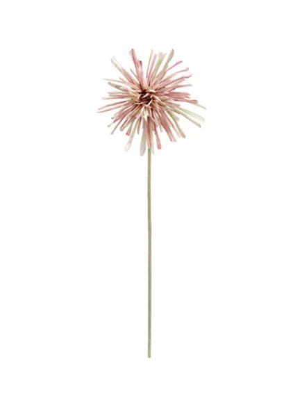 Anastácia Rosa Claro Haste