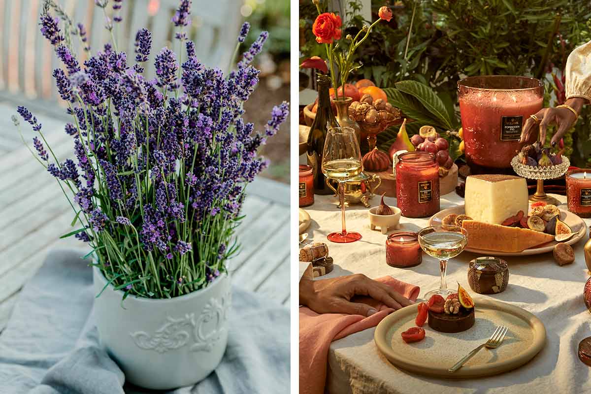 Neuroarquitetura - Aromas que encantam