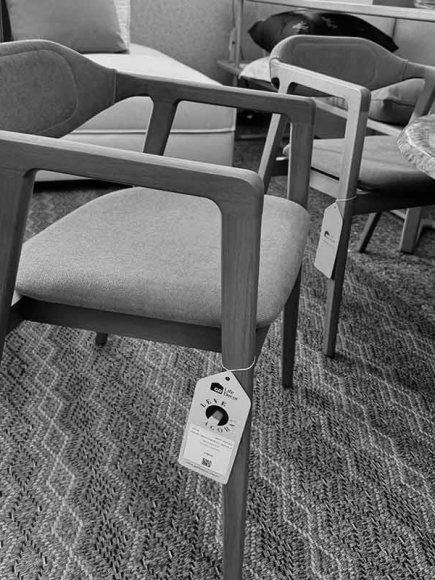 Cadeira com Braços Nani (Pronta Entrega) - VENDIDO - Image 1