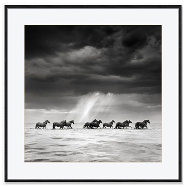 Quadro BW Horse